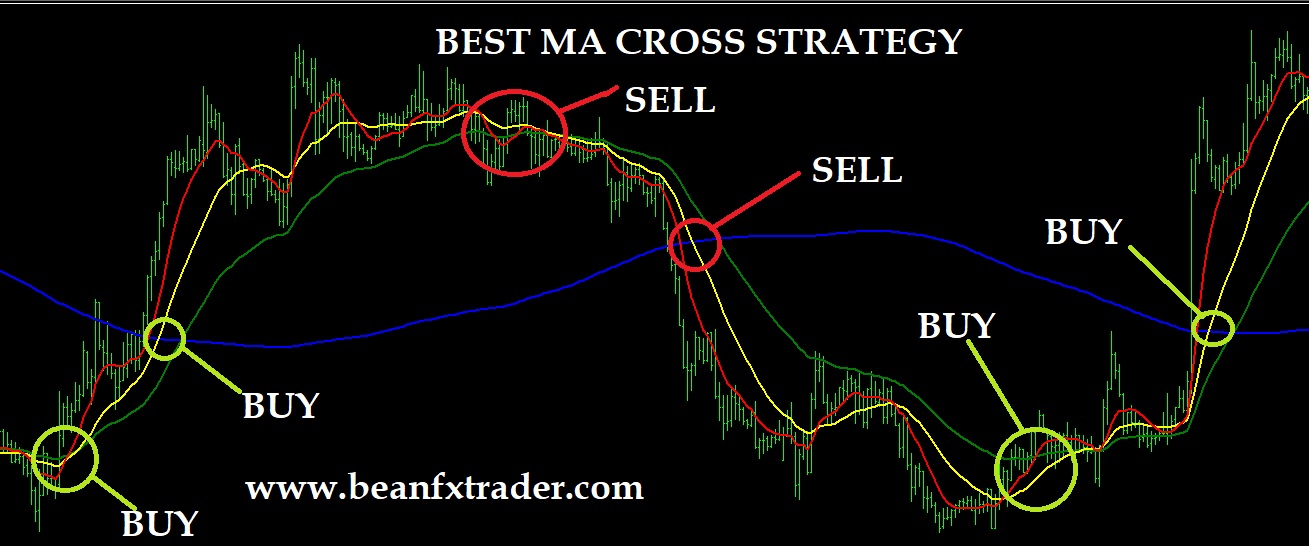 The Ultimate Guide to the Best MA Crossover Strategy for Forex Trading The Ultimate Guide to the Best MA Crossover Strategy for Forex Trading